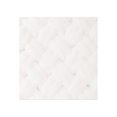 Yarn Alize Puffy white (55)