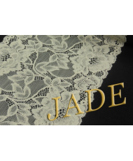 Elastic lace, ecru, width 17 cm (1227-16)