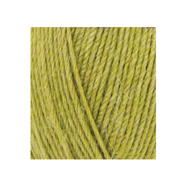 Yarn Alize Superwash Artisan green (11)