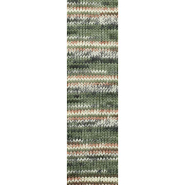 Пряжа Alize Superwash Artisan меланж (9014)