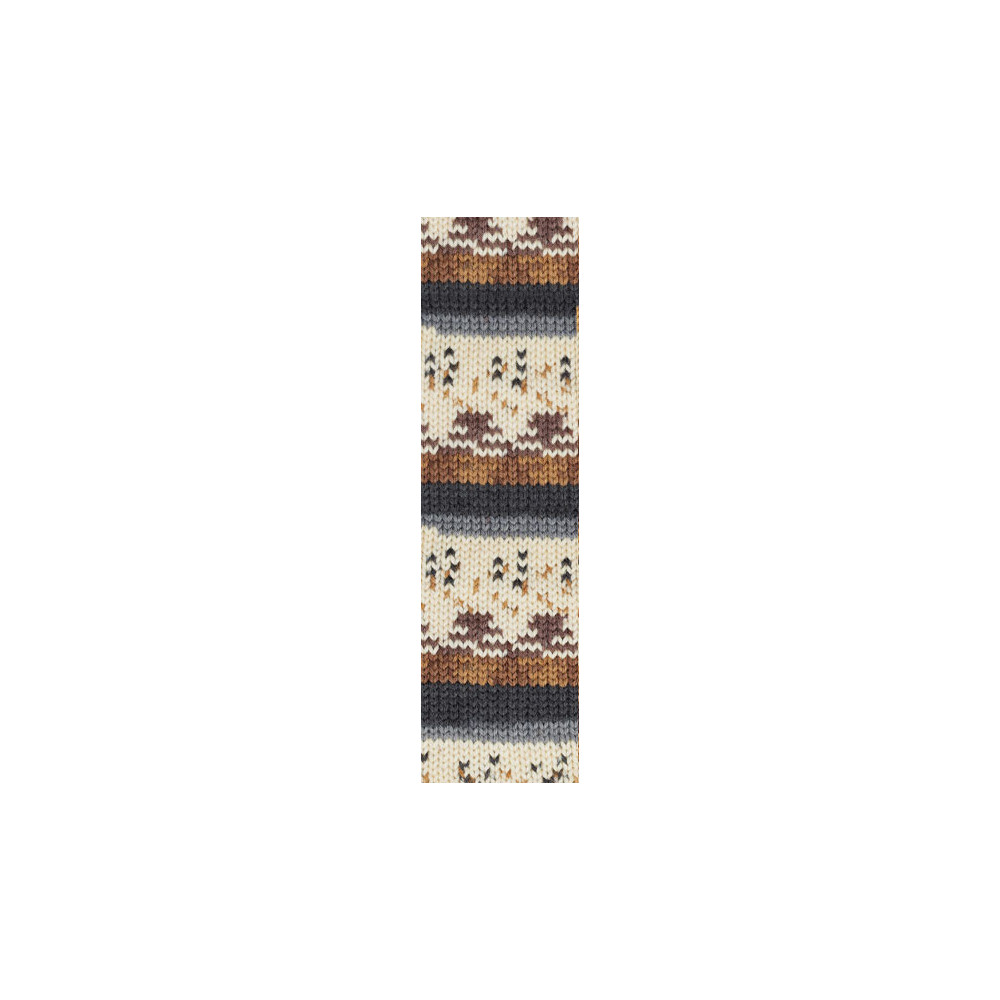 Yarn Alize Wooltime multicolor (11024)