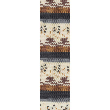 Yarn Alize Wooltime multicolor (11024)