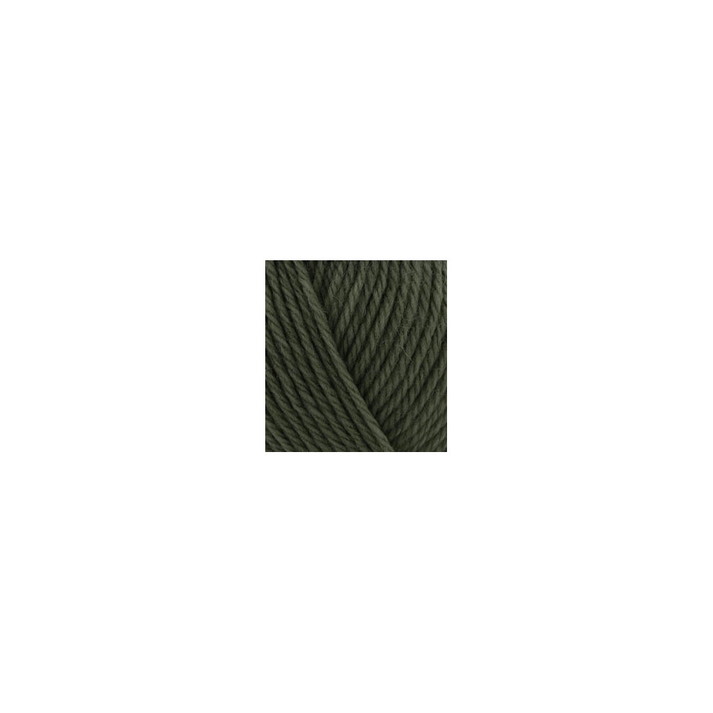 Yarn Alize Wooltime forest green (873)
