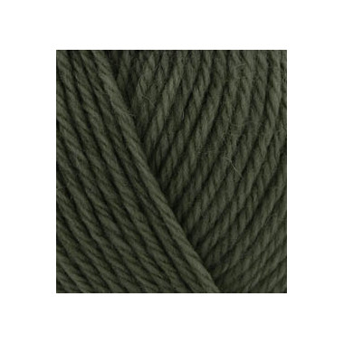 Yarn Alize Wooltime forest green (873)