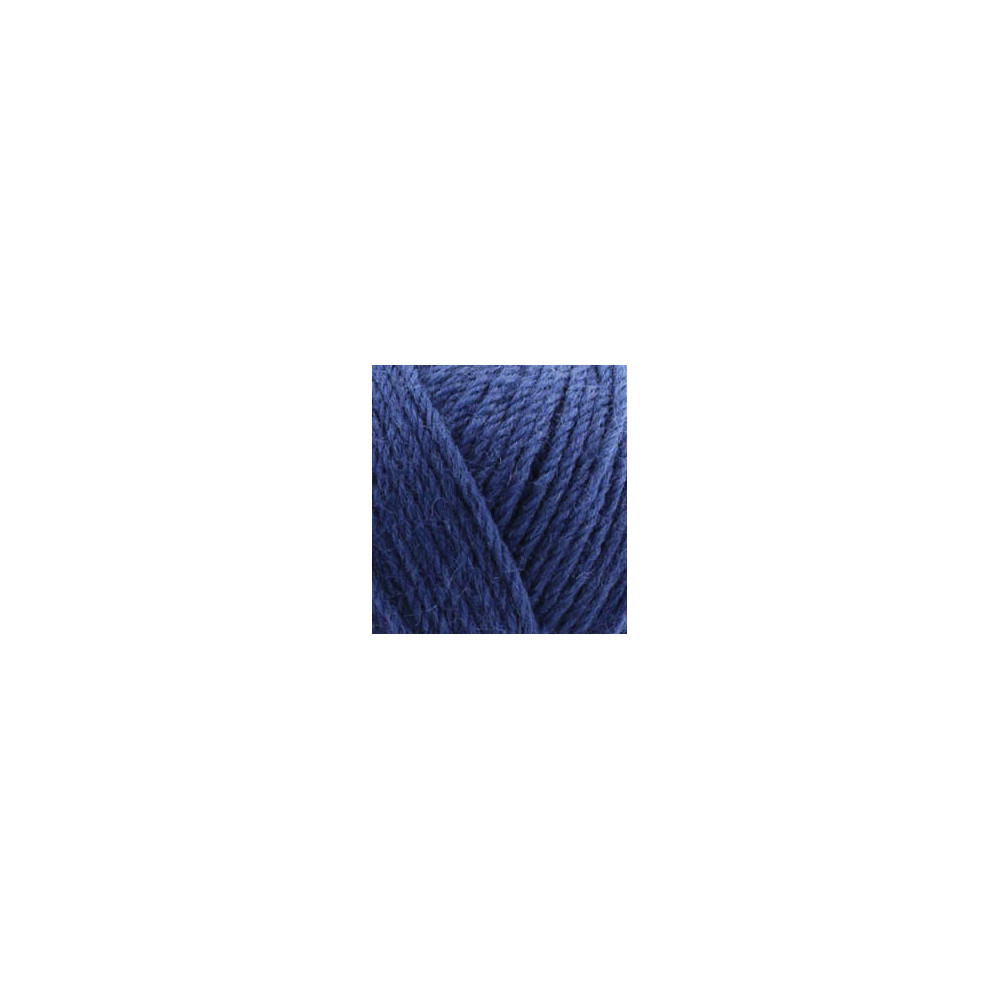 Yarn Alize Wooltime blueberry (797)
