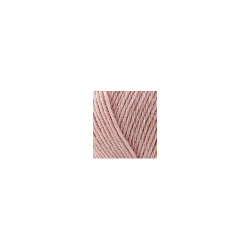 Yarn Alize Wooltime powder (161)