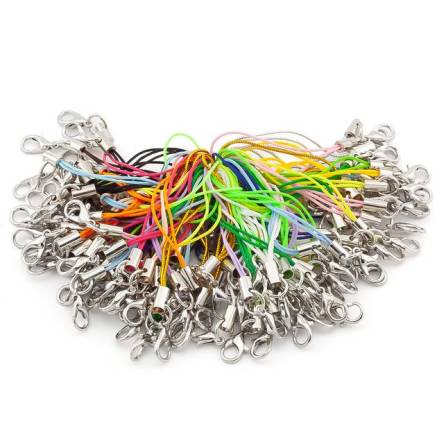 Lanyard with a carabiner