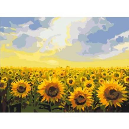 Painting by numbers Sunflower field 30x40 cm PВS135