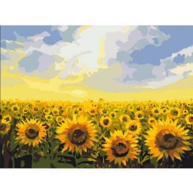 Painting by numbers Sunflower field 30x40 cm PВS135