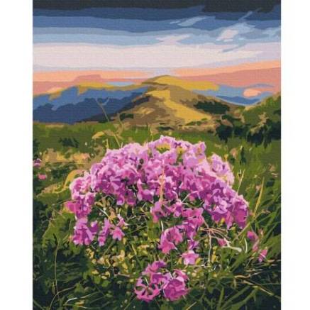 Painting by numbers Flowering Carpathians © Roksolana Baran Brushme 40x50 cm BS53750