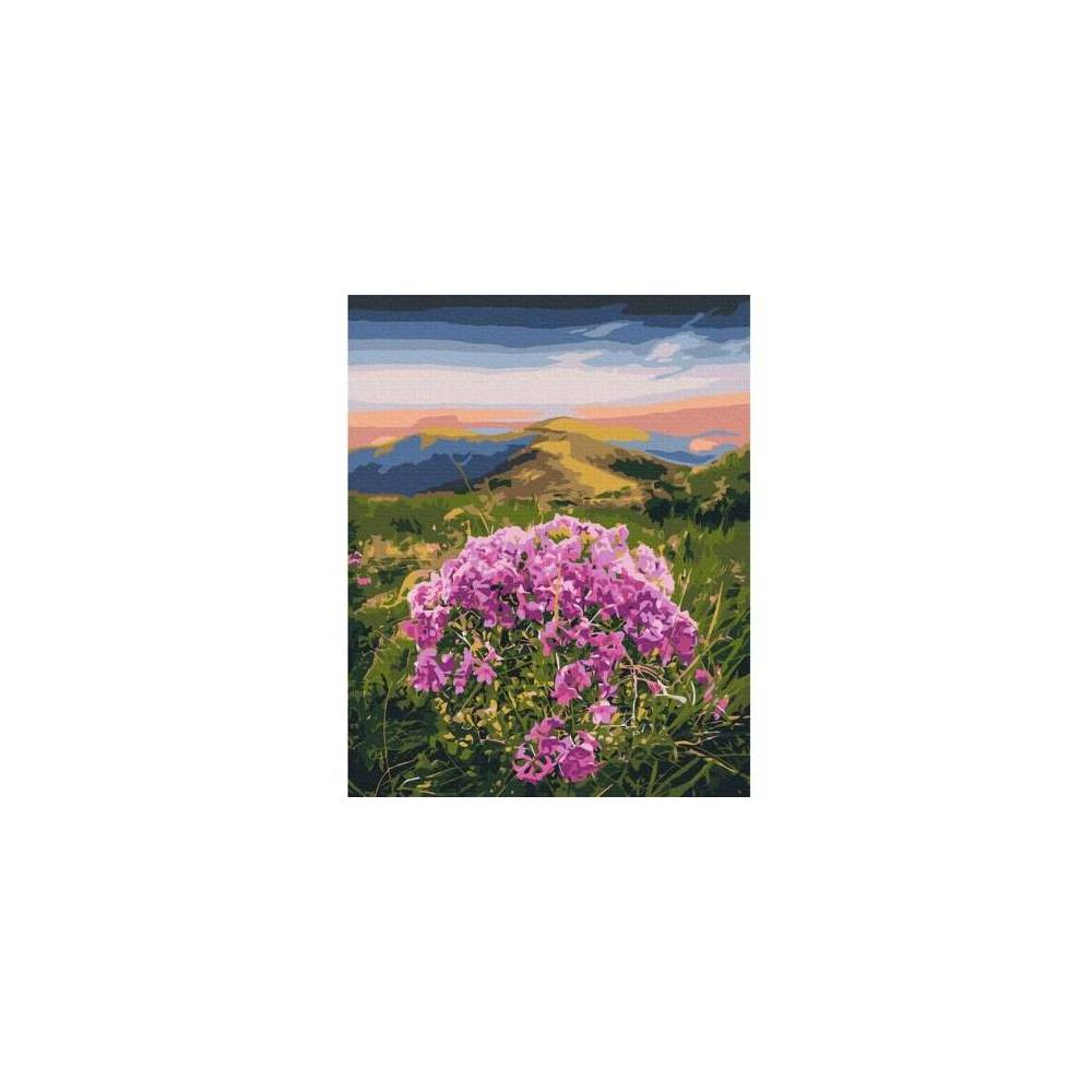 Painting by numbers Flowering Carpathians © Roksolana Baran Brushme 40x50 cm BS53750 Painting by numbers Flowering Carpathians © Roksolana Baran Brushme 40x50 cm BS53750
