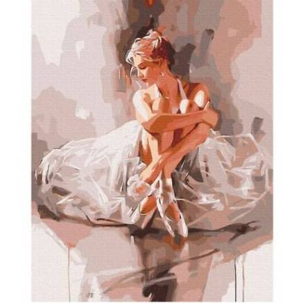 Painting by numbers Ballerina in a cloud of tenderness Brushme 40x50 cm BS52894