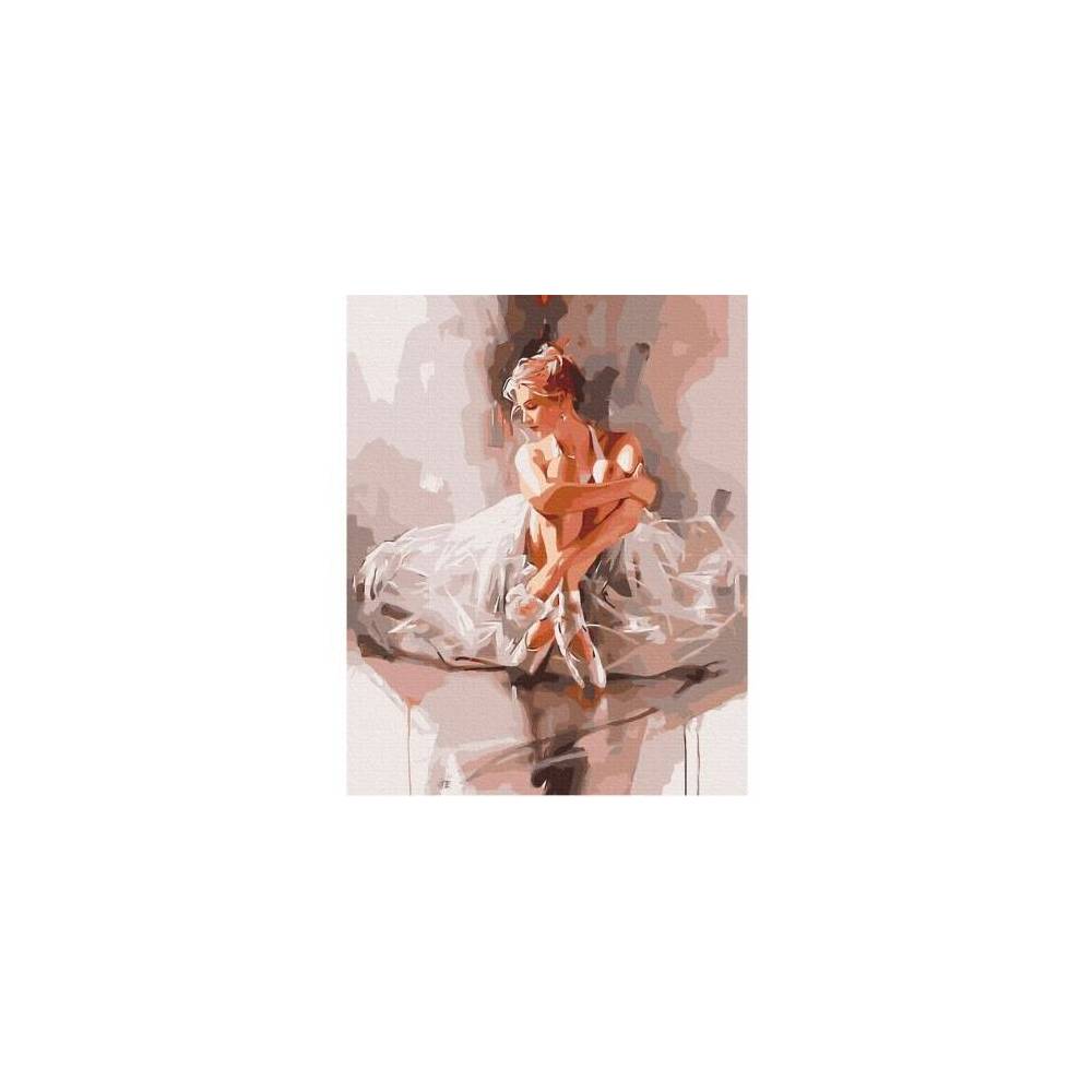 Painting by numbers Ballerina in a cloud of tenderness Brushme 40x50 cm BS52894 Painting by numbers Ballerina in a cloud of tenderness Brushme 40x50 cm BS52894