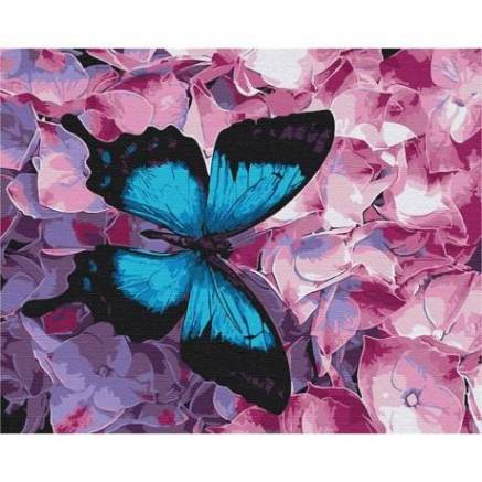Painting by numbers Butterfly on flowers Brushme 40x50 cm BS21627