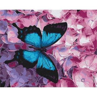 Painting by numbers Butterfly on flowers Brushme 40x50 cm BS21627