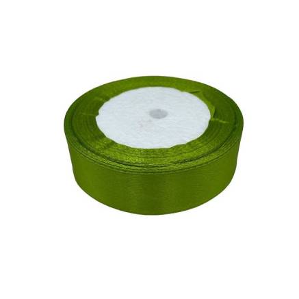 Satin ribbon 2.5 cm, light green (76)