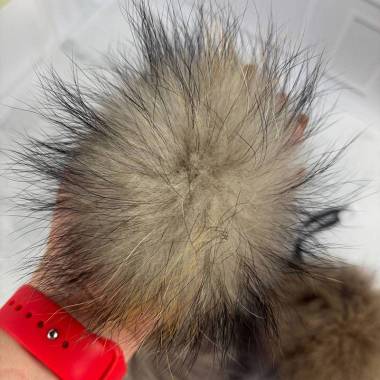 Pompom made of natural raccoon fur 13-14 cm