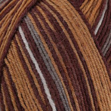 Sock yarn La Mia Woolly Socks multicolor (L09)