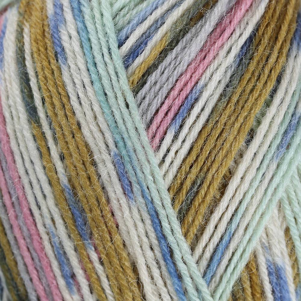 Sock yarn La Mia Woolly Socks multicolor (L11)
