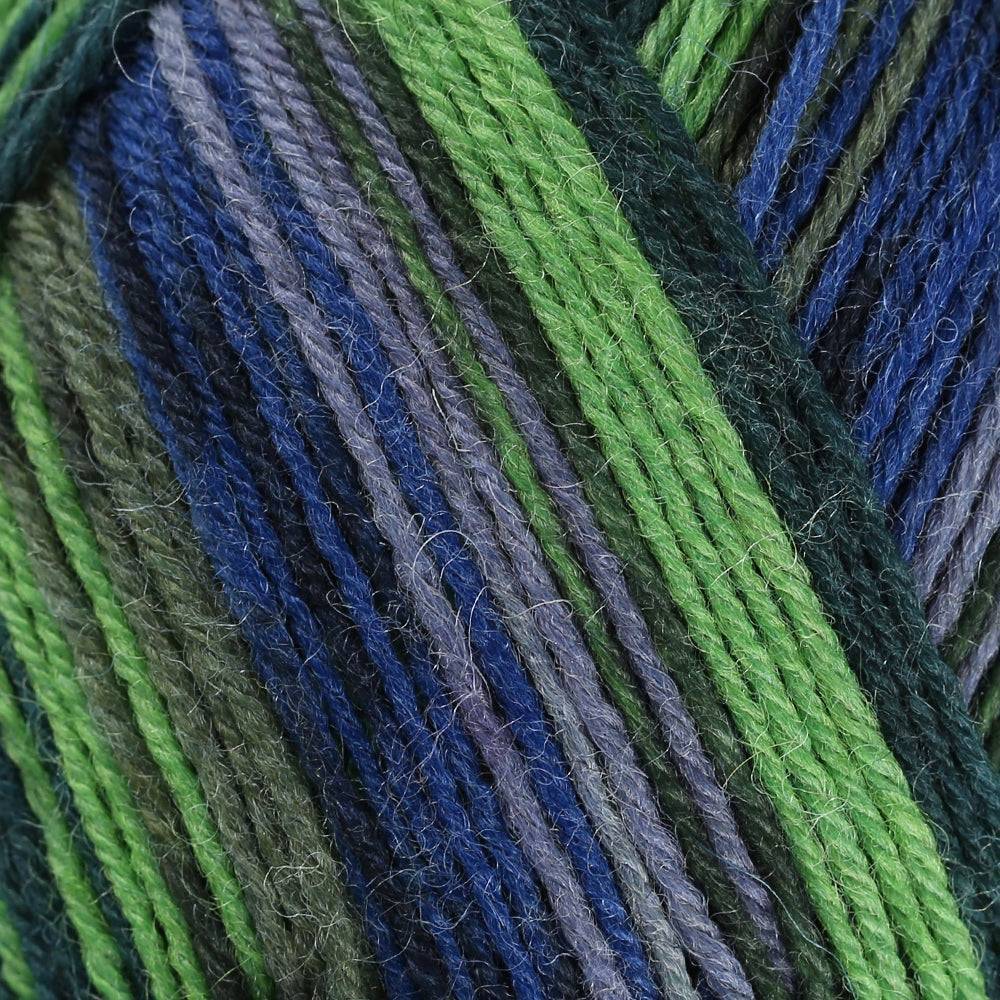 Sock yarn La Mia Woolly Socks multicolor (L12)