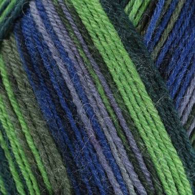 Sock yarn La Mia Woolly Socks multicolor (L12)