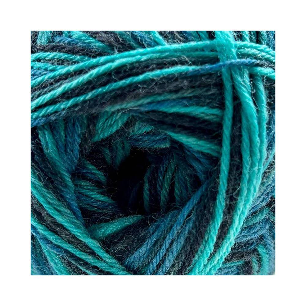 Пряжа Premium Yarns Winter, мультиколор (808)