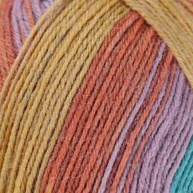 Sock yarn La Mia Woolly Socks multicolor (L04)