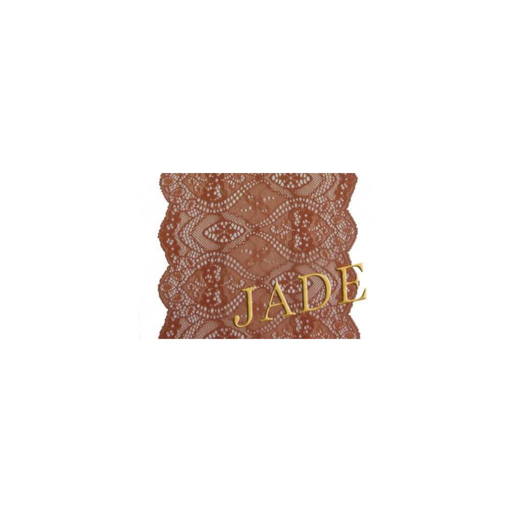 Elastic lace, terracotta color, 17 cm, 1 m (1118-1314)
