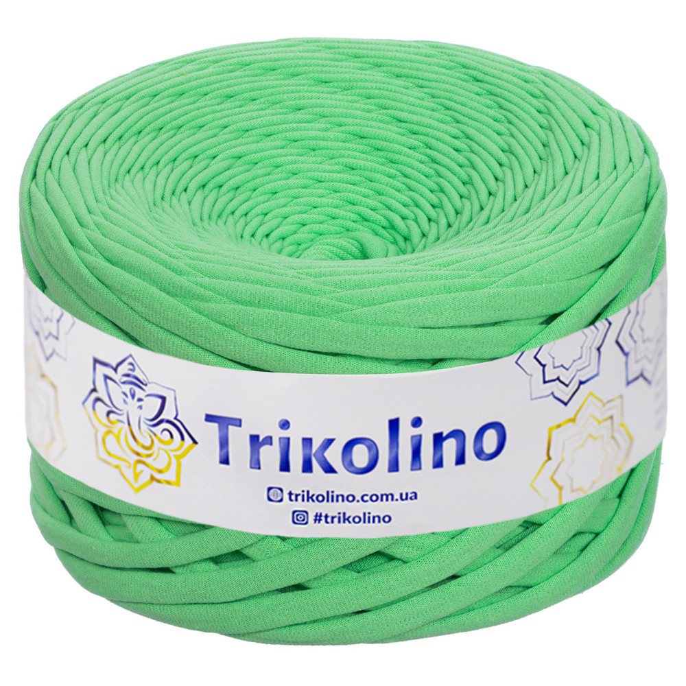 Трикотажна пряжа Trikolino 7-9 мм, яскраво-зелений 100 м (420274) Трикотажна пряжа Trikolino 7-9 мм, яскраво-зелений 100 м (420274)