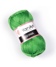 Yarn YarnArt Begonia green (6332)