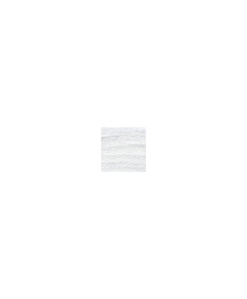 0000 floss DMC BLANC White art.117
