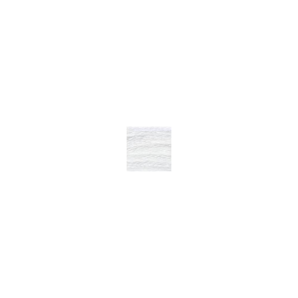 0000 муліне DMC BLANC White арт.117