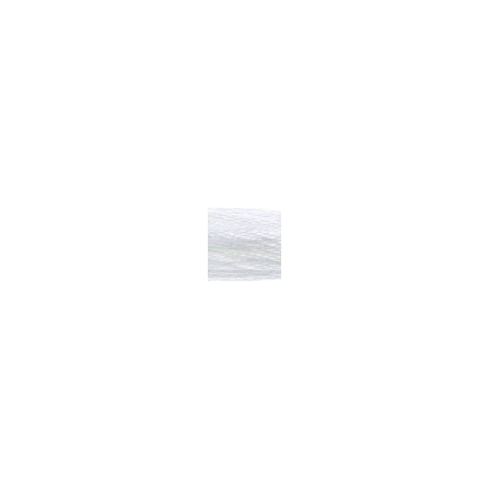 0000 floss DMC B5200 Snow White art.117