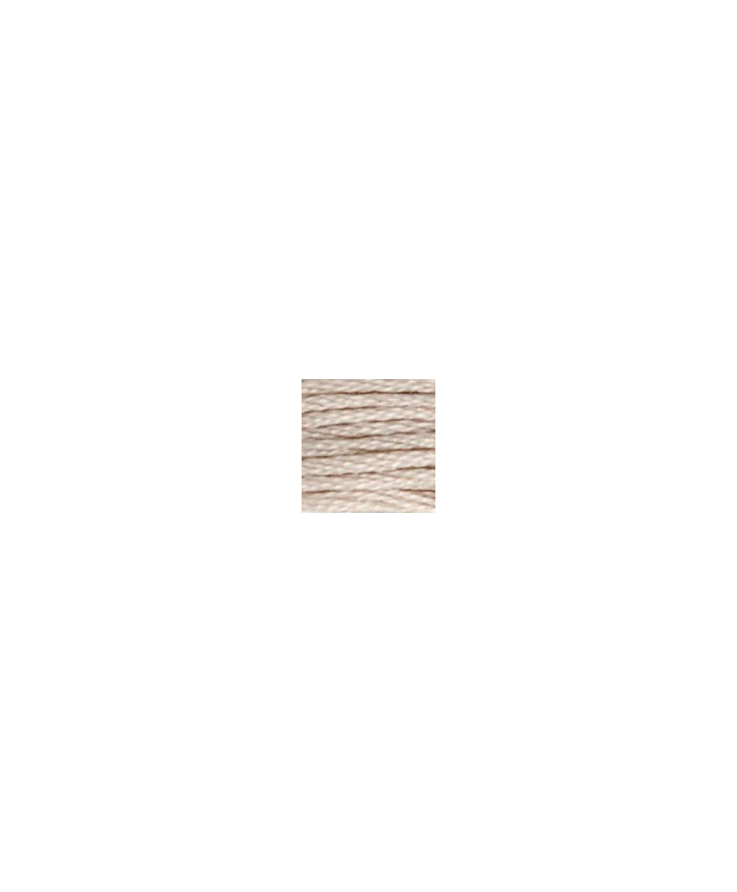 0006 floss DMC 06 Driftwood Medium Light art.117