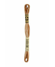 0105 floss DMC 105 Variegated Brown art.117
