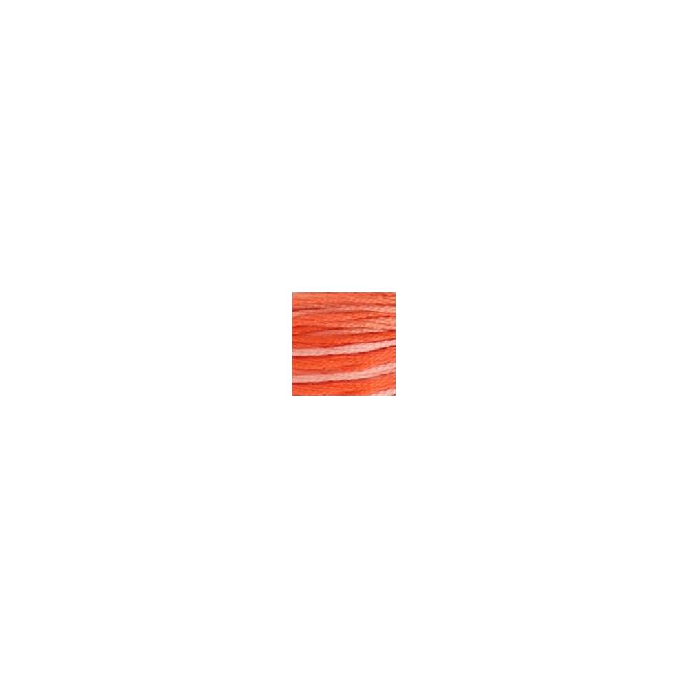 0106 floss DMC 106 Variegated Coral art.117