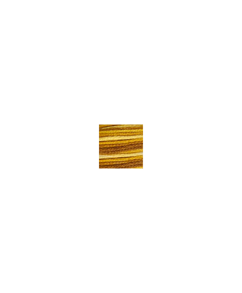 0111 floss DMC 111 Variegated Mustard art.117