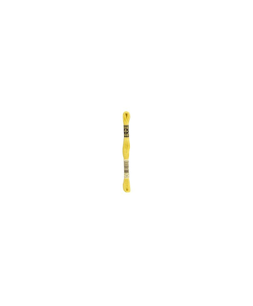 0017 floss DMC 17 Yellow Plum Light art.117 0017 floss DMC 17 Yellow Plum Light art.117