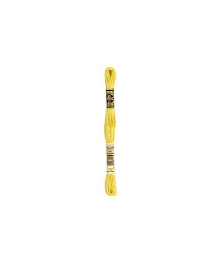 0017 floss DMC 17 Yellow Plum Light art.117