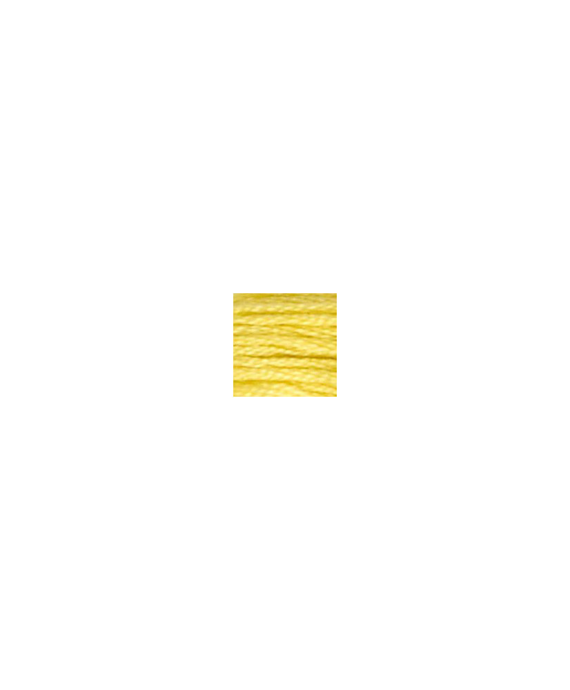 0017 floss DMC 17 Yellow Plum Light art.117