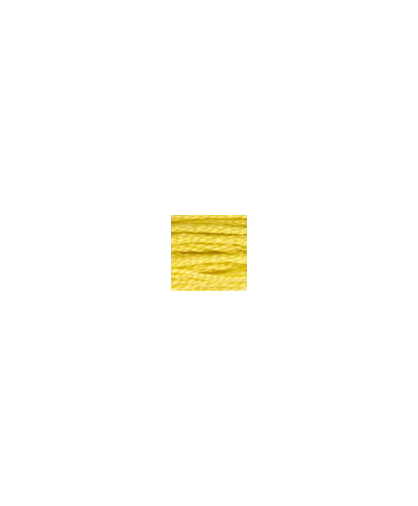 0018 floss DMC 18 Yellow Plum art.117