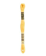 0019 floss DMC 19 Autumn Gold Medium Light art.117