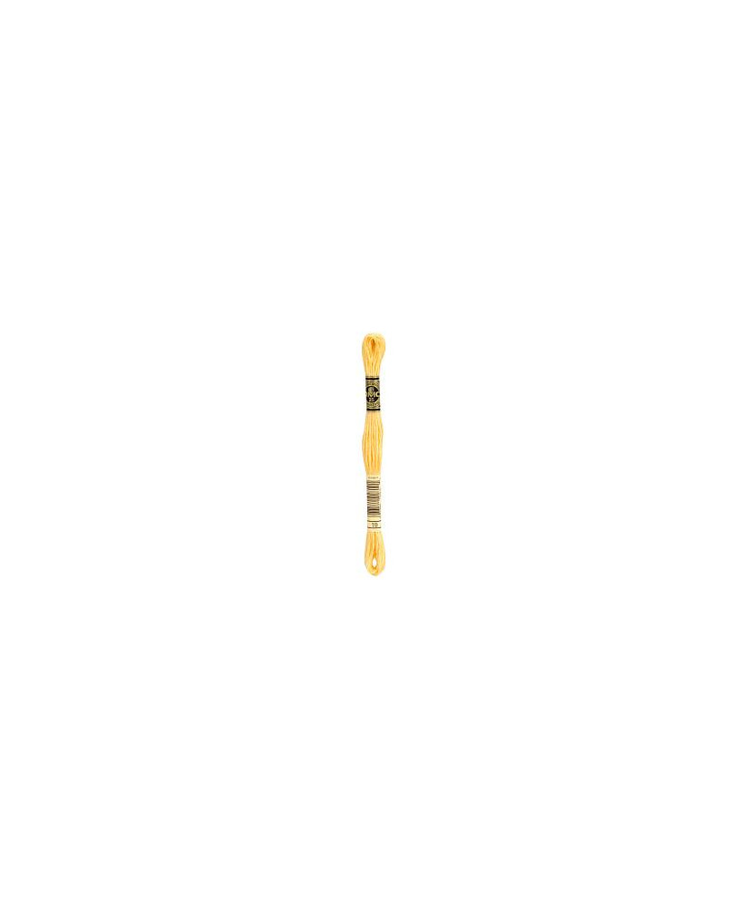 0019 floss DMC 19 Autumn Gold Medium Light art.117 0019 floss DMC 19 Autumn Gold Medium Light art.117