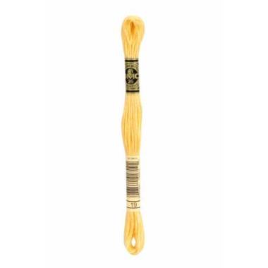 0019 floss DMC 19 Autumn Gold Medium Light art.117