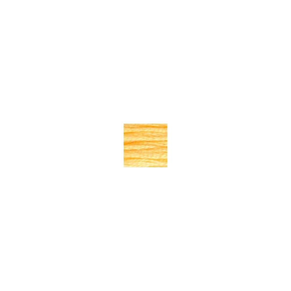 0019 floss DMC 19 Autumn Gold Medium Light art.117