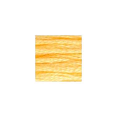 0019 floss DMC 19 Autumn Gold Medium Light art.117