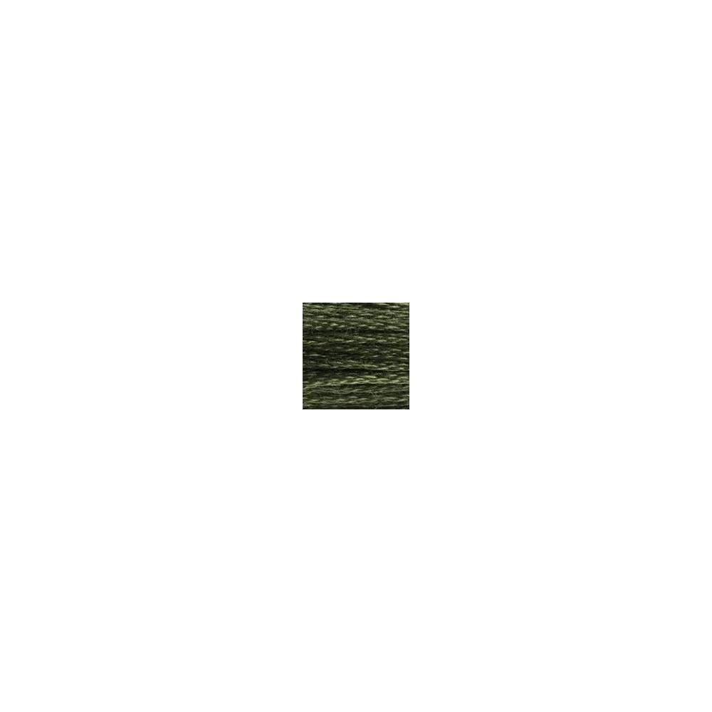 3051 муліне DMC 3051 Dark Green Grey арт.117