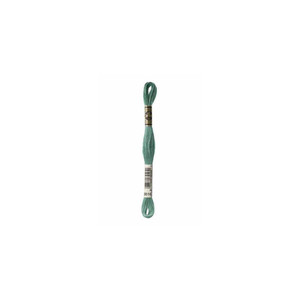 3816 мулине DMC 3816 Celadon Green арт.117 3816 мулине DMC 3816 Celadon Green арт.117