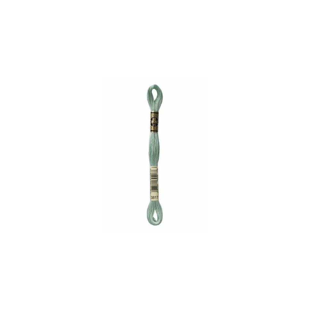 3817 муліне DMC 3817 Light Celadon Green арт.117 3817 муліне DMC 3817 Light Celadon Green арт.117