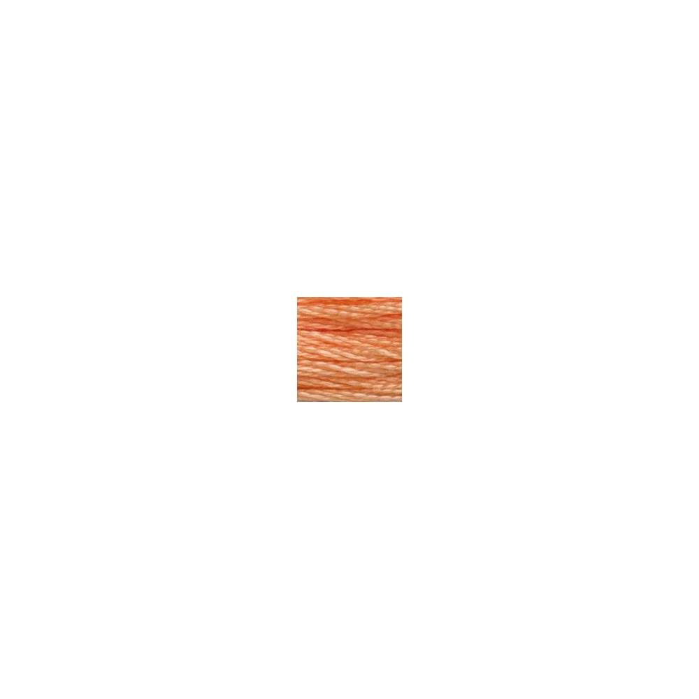 3824 floss DMC 3825 Pale Pumpkin art.117